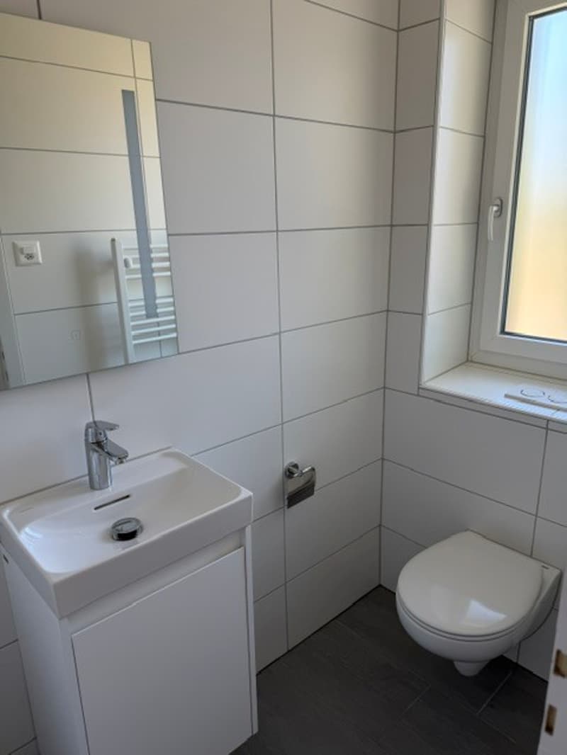 Sanierte 4.5 Zimmer Wohnung in der Elfenau (12)