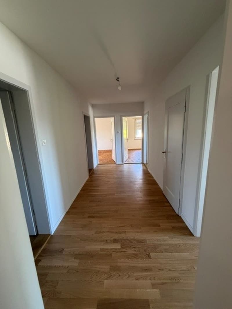 Sanierte 4.5 Zimmer Wohnung in der Elfenau (3)