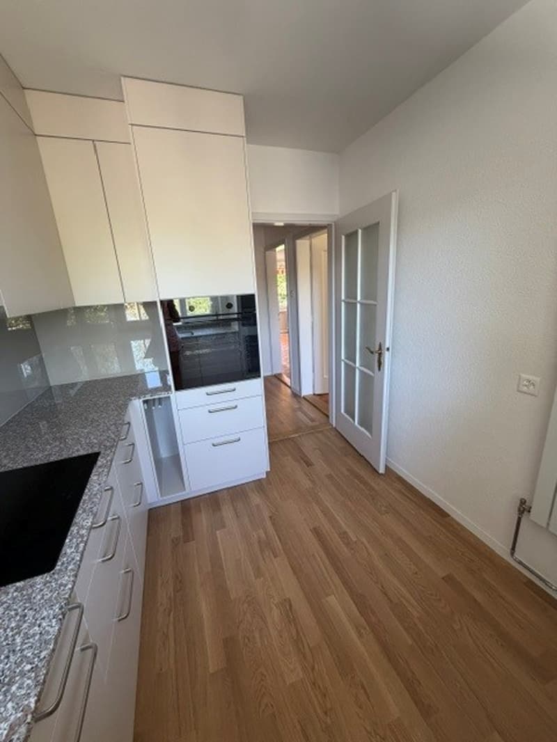 Sanierte 4.5 Zimmer Wohnung in der Elfenau (1)