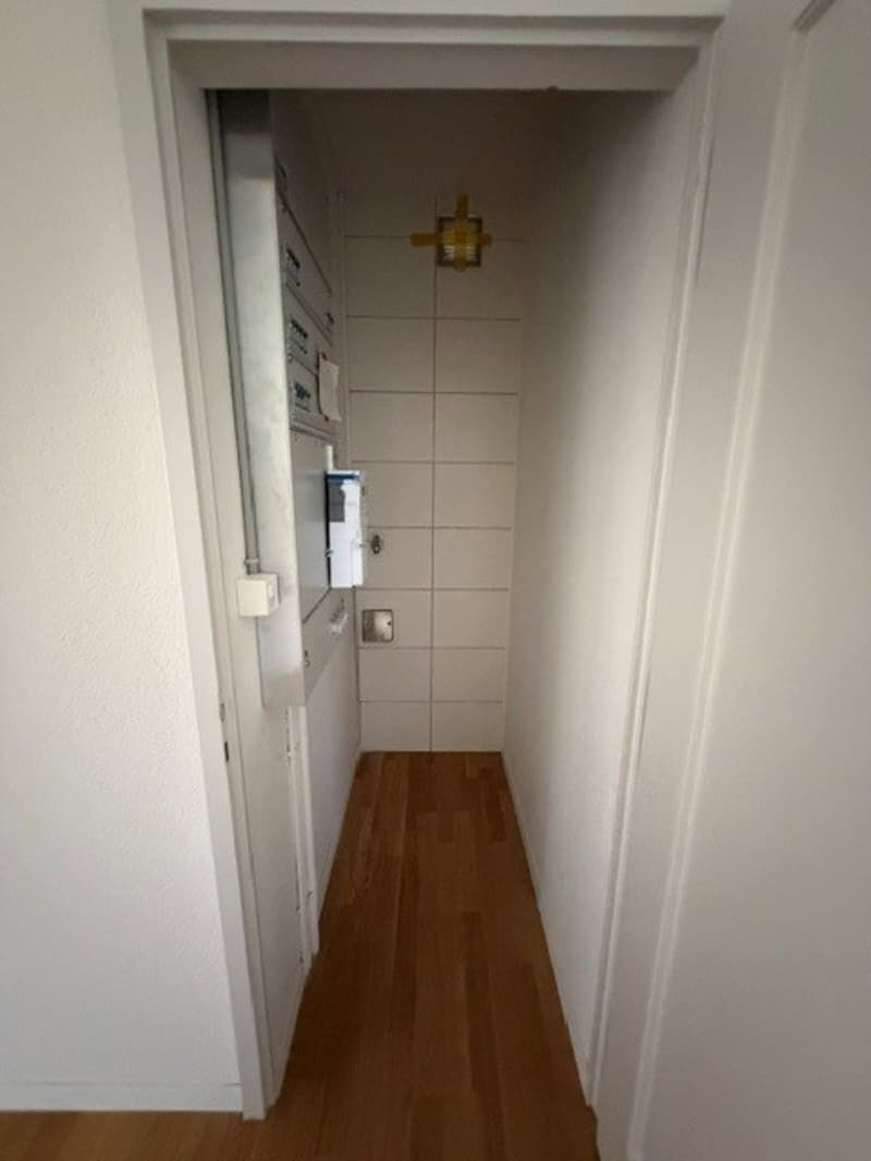 Sanierte 4.5 Zimmer Wohnung in der Elfenau (5)