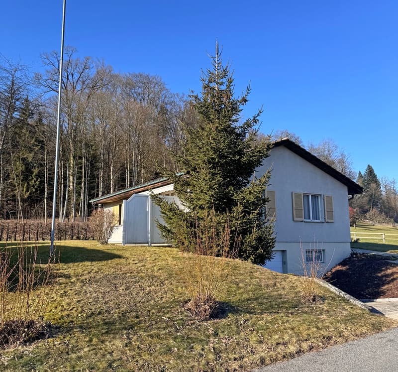 Sängeliweg 1, 4900 Langenthal