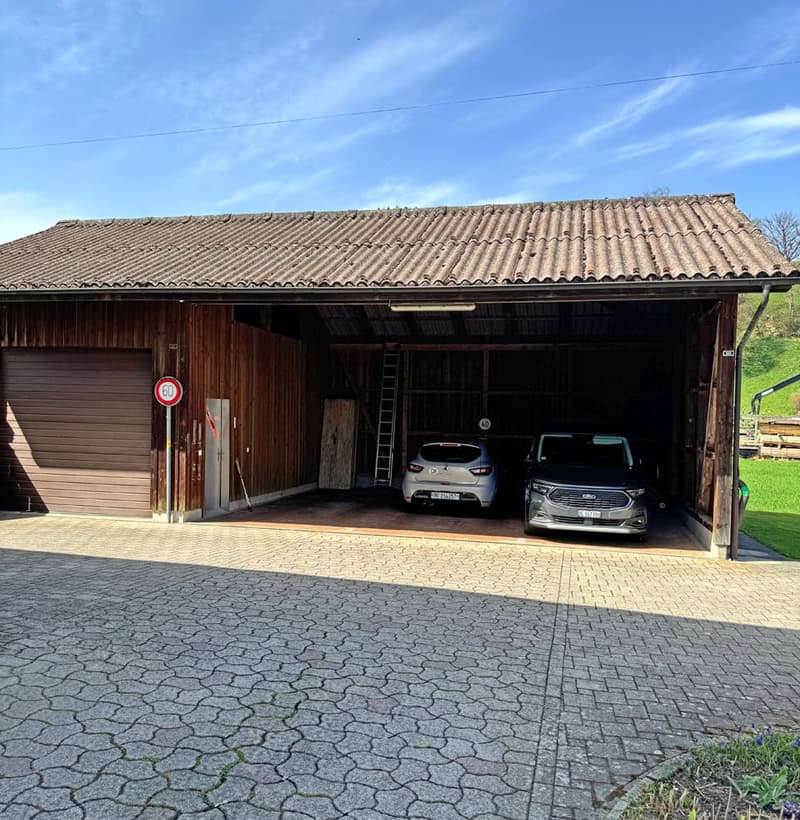 Garage with two cars parked inside, wooden walls, brown roof, ladder, speed limit sign