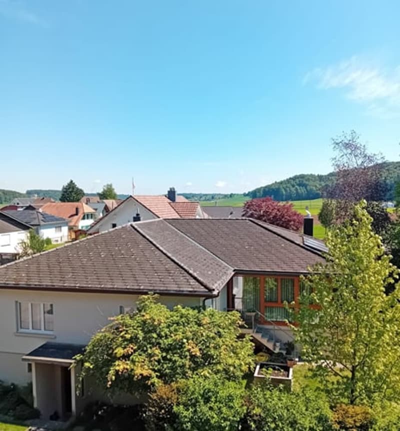 ...letzte Chance - reduziert im Preis... (15)