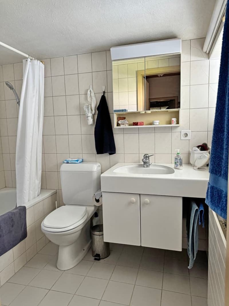 ...das schmucke Zuhause mit grossem Garten... (20)