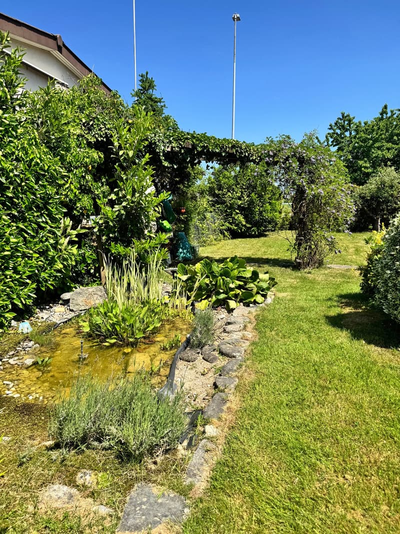 ...das schmucke Zuhause mit grossem Garten... (7)