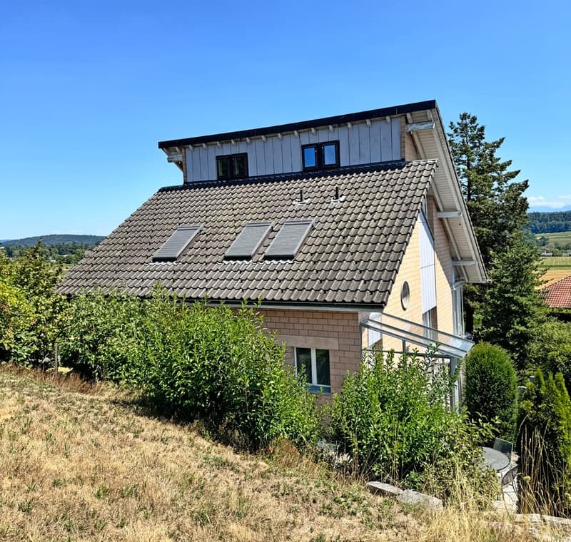 5.5 Zi. EFH mit Studiowohnung und beneidenswerter Weitsicht (5)