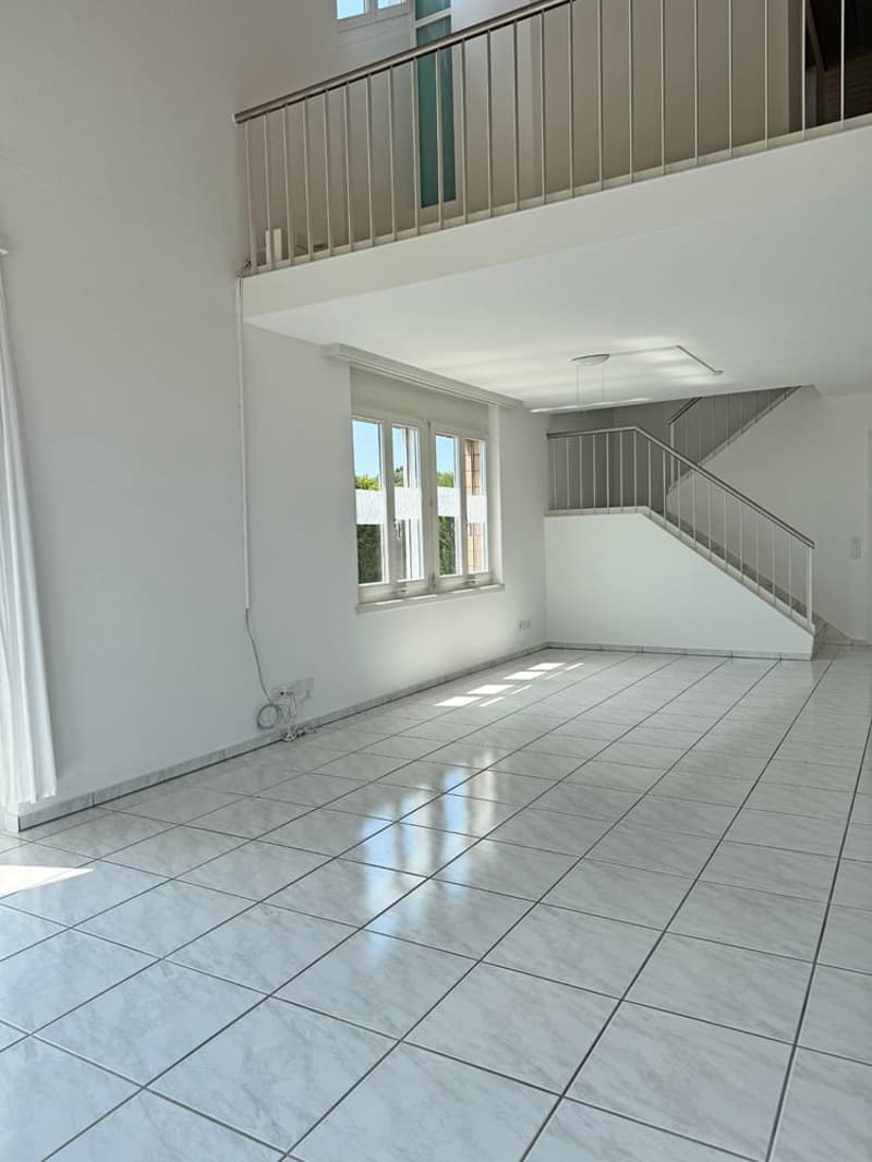 5.5 Zi. EFH mit Studiowohnung und beneidenswerter Weitsicht (13)