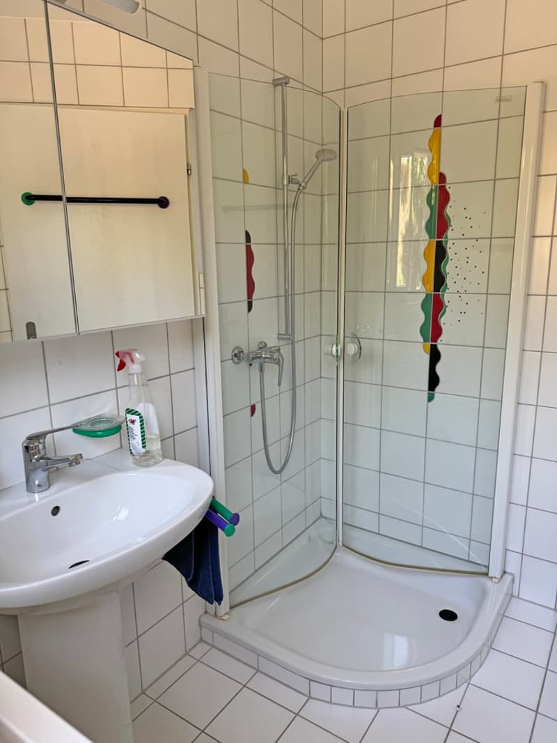5.5 Zi. EFH mit Studiowohnung und beneidenswerter Weitsicht (9)