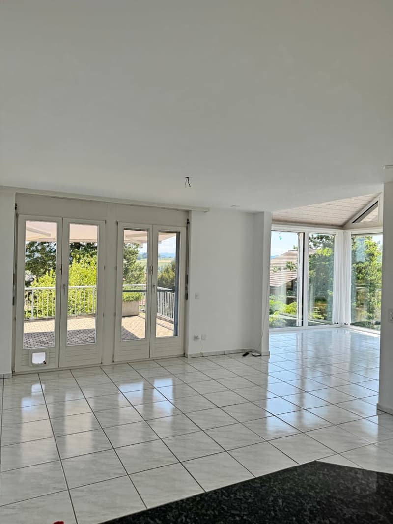 5.5 Zi. EFH mit Studiowohnung und beneidenswerter Weitsicht (18)