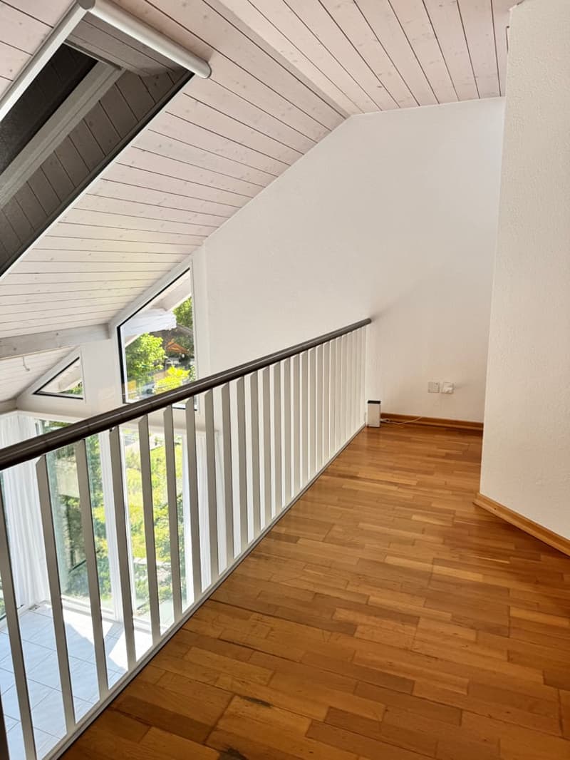 5.5 Zi. EFH mit Studiowohnung und beneidenswerter Weitsicht (25)