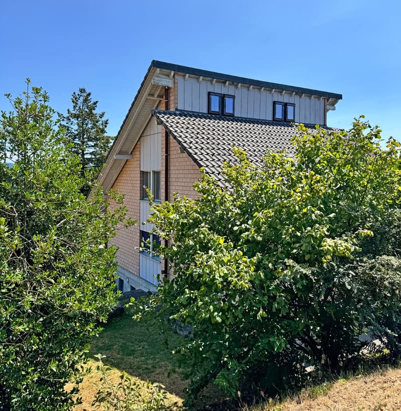 5.5 Zi. EFH mit Studiowohnung und beneidenswerter Weitsicht (4)