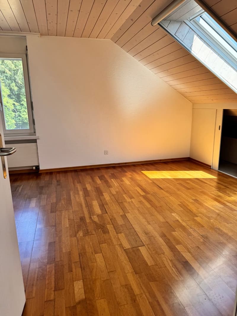 5.5 Zi. EFH mit Studiowohnung und beneidenswerter Weitsicht (30)