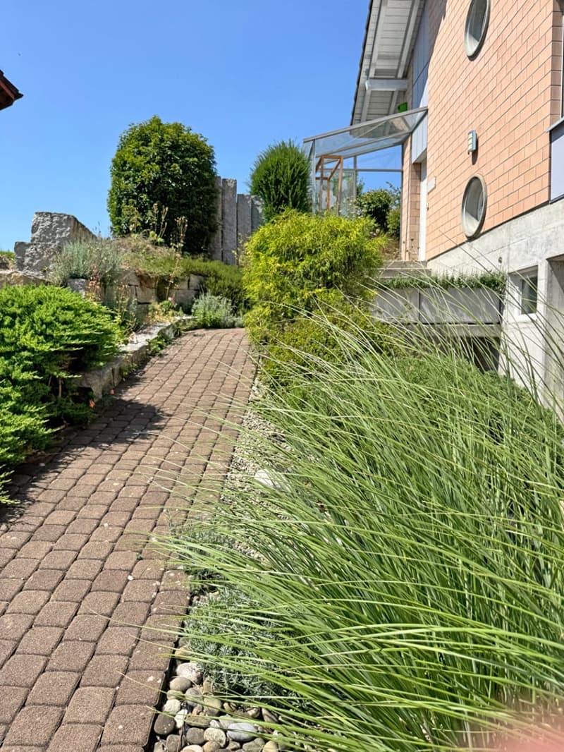 5.5 Zi. EFH mit Studiowohnung und beneidenswerter Weitsicht (6)
