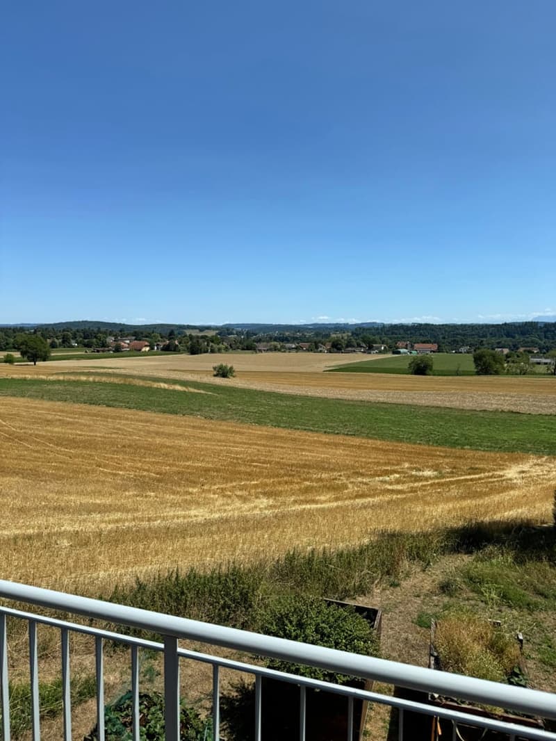 5.5 Zi. EFH mit Studiowohnung und beneidenswerter Weitsicht (20)