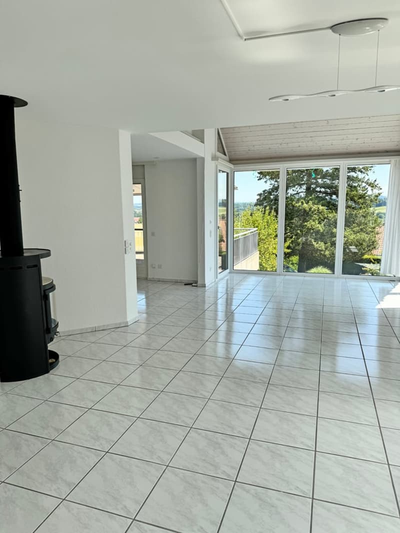 5.5 Zi. EFH mit Studiowohnung und beneidenswerter Weitsicht (12)