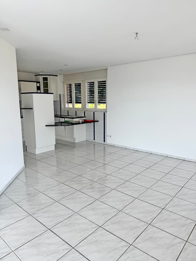 5.5 Zi. EFH mit Studiowohnung und beneidenswerter Weitsicht (15)