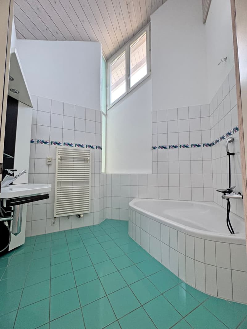 5.5 Zi. EFH mit Studiowohnung und beneidenswerter Weitsicht (27)
