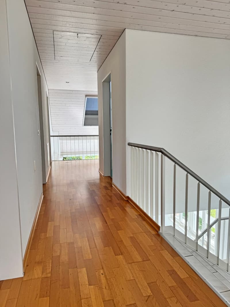 5.5 Zi. EFH mit Studiowohnung und beneidenswerter Weitsicht (23)
