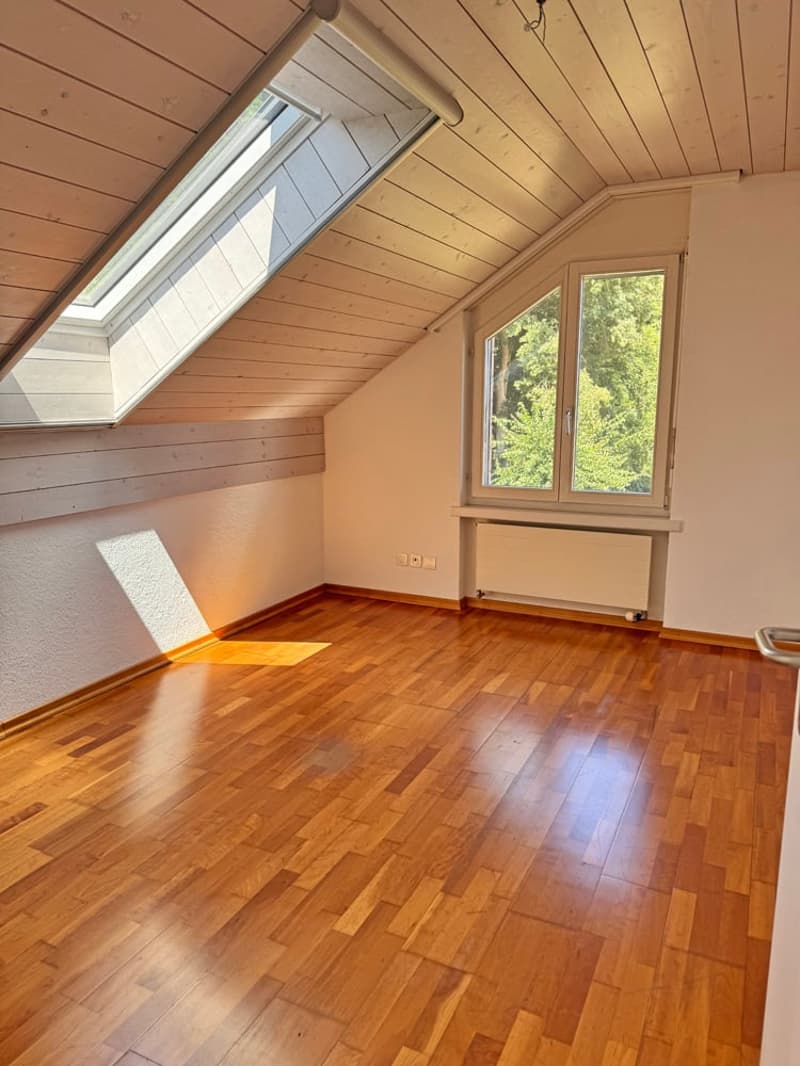 5.5 Zi. EFH mit Studiowohnung und beneidenswerter Weitsicht (26)
