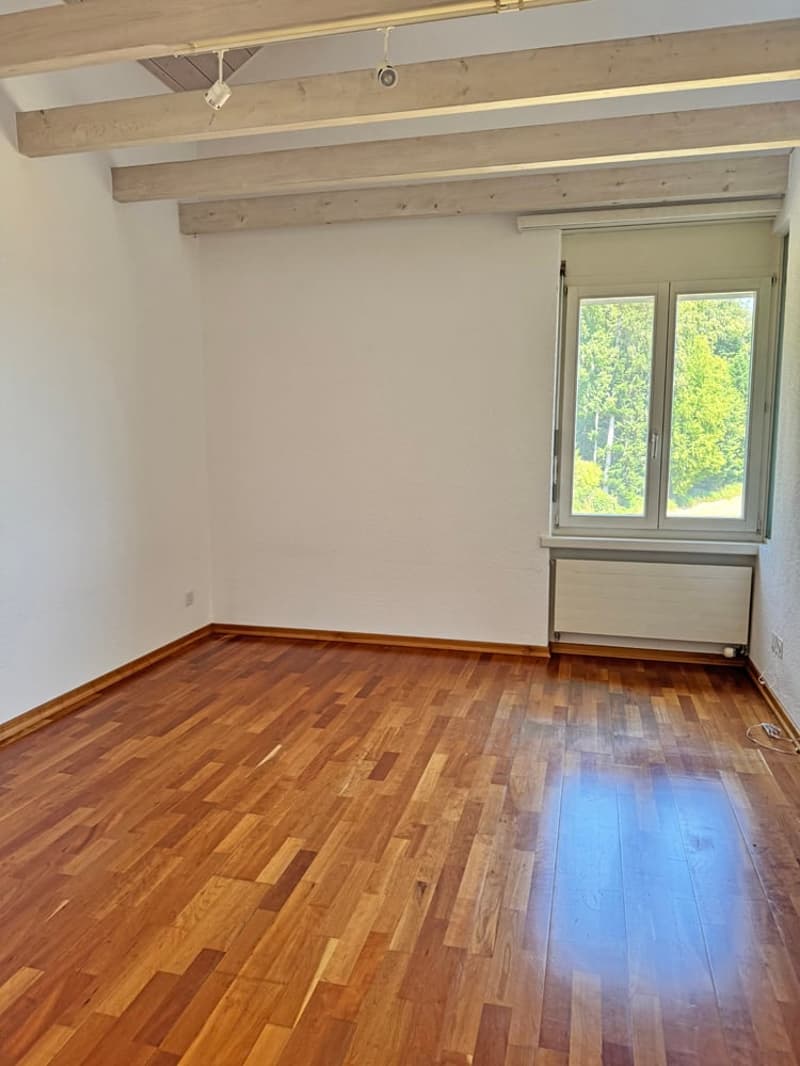 5.5 Zi. EFH mit Studiowohnung und beneidenswerter Weitsicht (28)