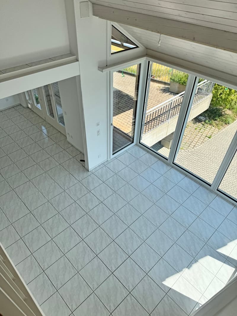 5.5 Zi. EFH mit Studiowohnung und beneidenswerter Weitsicht (14)