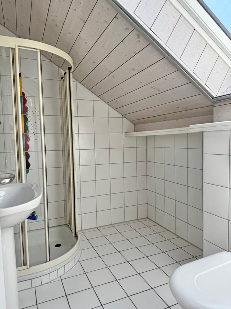 5.5 Zi. EFH mit Studiowohnung und beneidenswerter Weitsicht (29)
