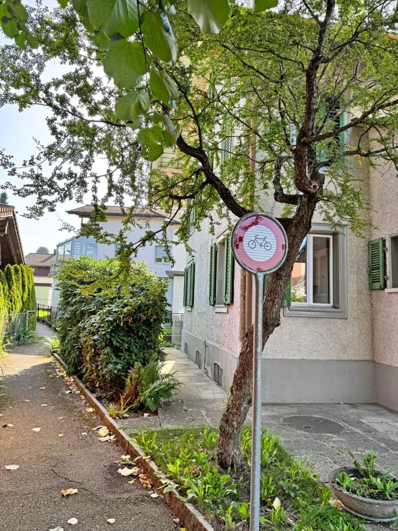 ...grosszügiges Zuhause im Herzen von Madiswil... (4)