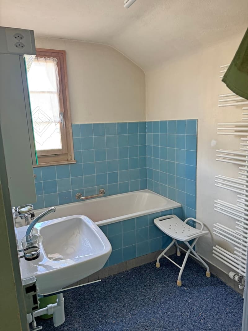 ...urig schön mit grossem Grundstück - tolles Familienhaus... (17)