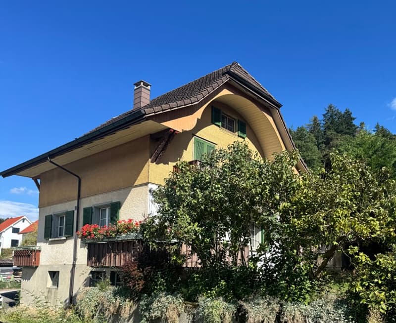 ...urig schön mit grossem Grundstück - tolles Familienhaus... (2)