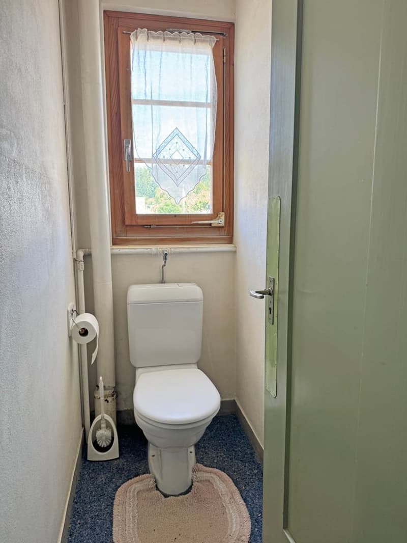 ...urig schön mit grossem Grundstück - tolles Familienhaus... (19)