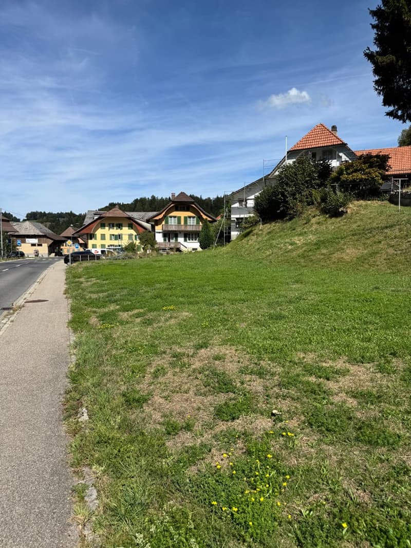...urig schön mit grossem Grundstück - tolles Familienhaus... (13)