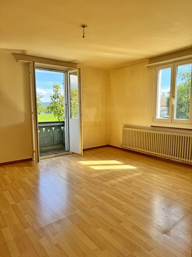 ...grosses Grundstück an bester Lage mit stilvollem Altbau... (16)