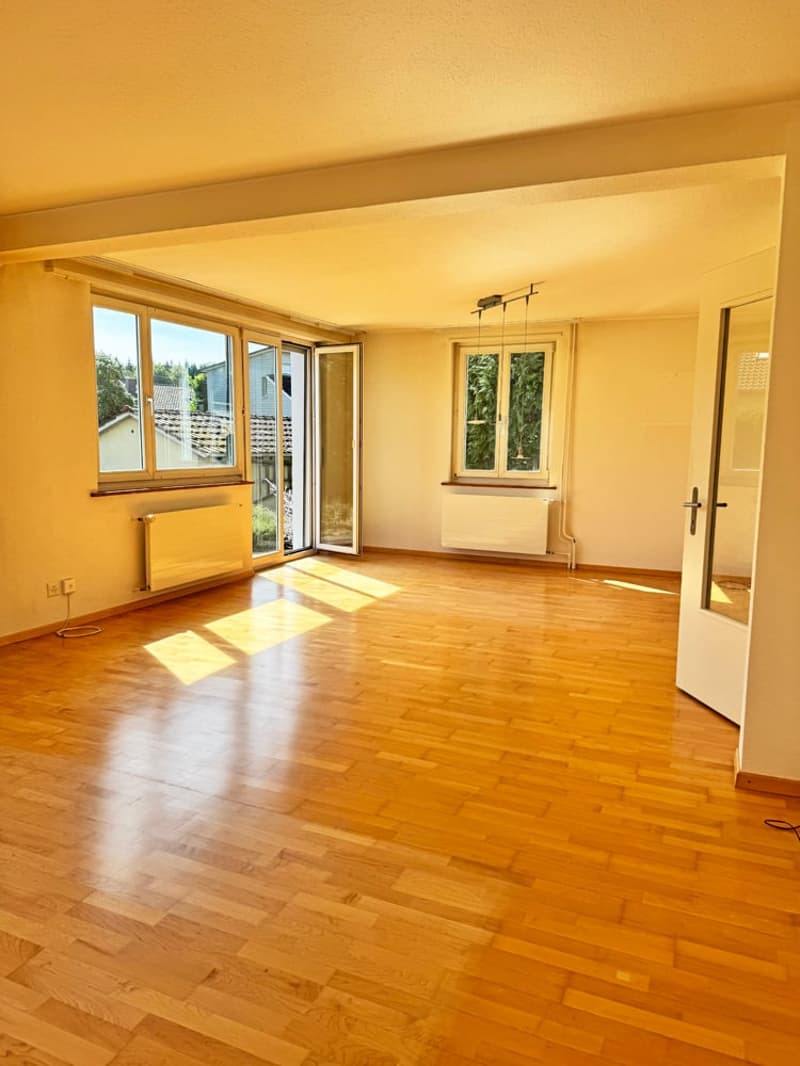 ...grosses Grundstück an bester Lage mit stilvollem Altbau... (11)
