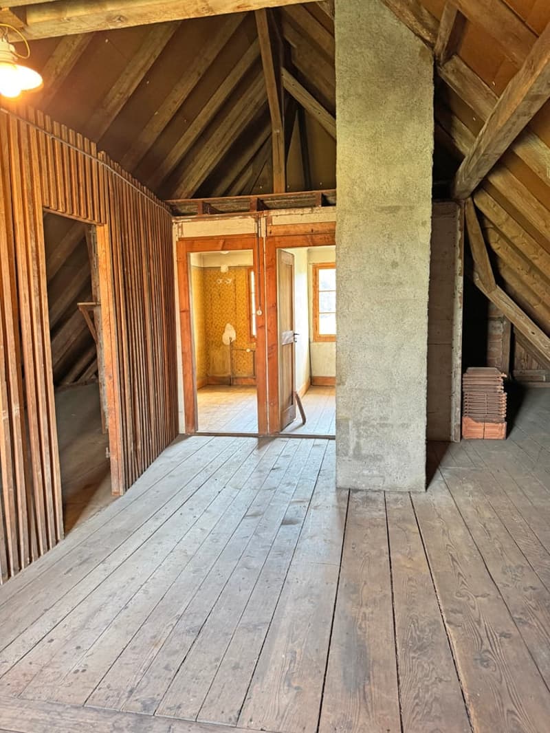 ...grosses Grundstück an bester Lage mit stilvollem Altbau... (22)