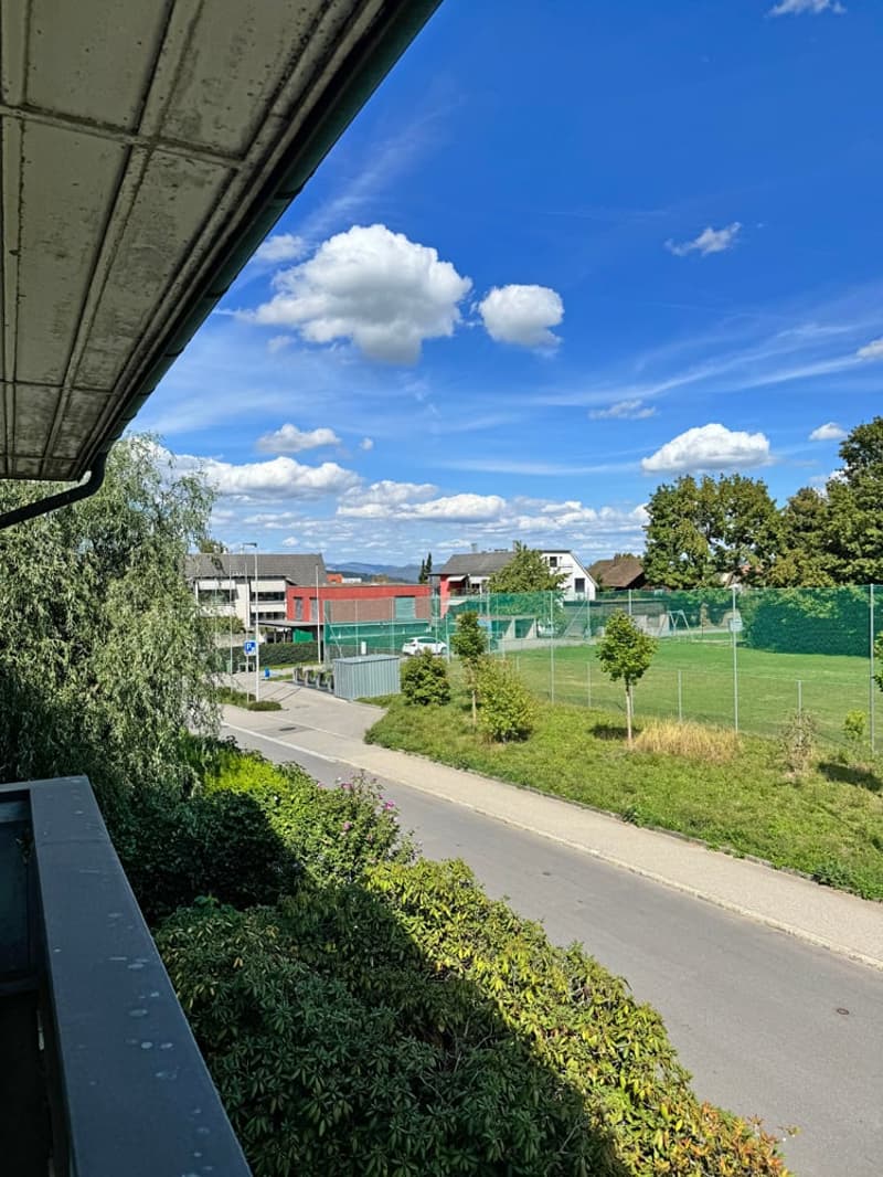 ...grosses Grundstück an bester Lage mit stilvollem Altbau... (17)