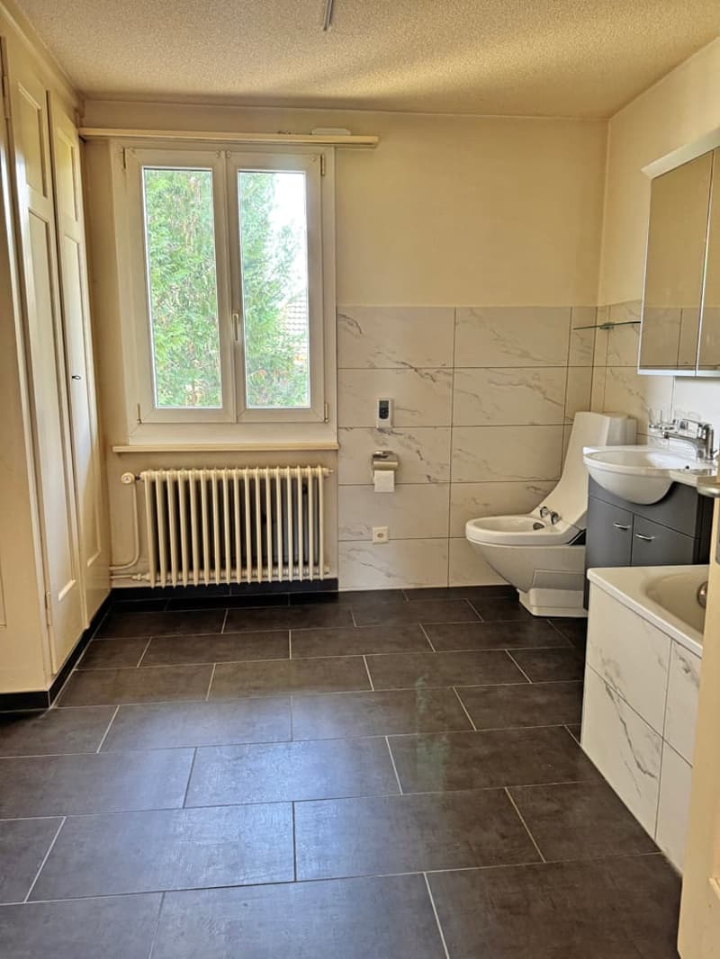 ...grosses Grundstück an bester Lage mit stilvollem Altbau... (19)