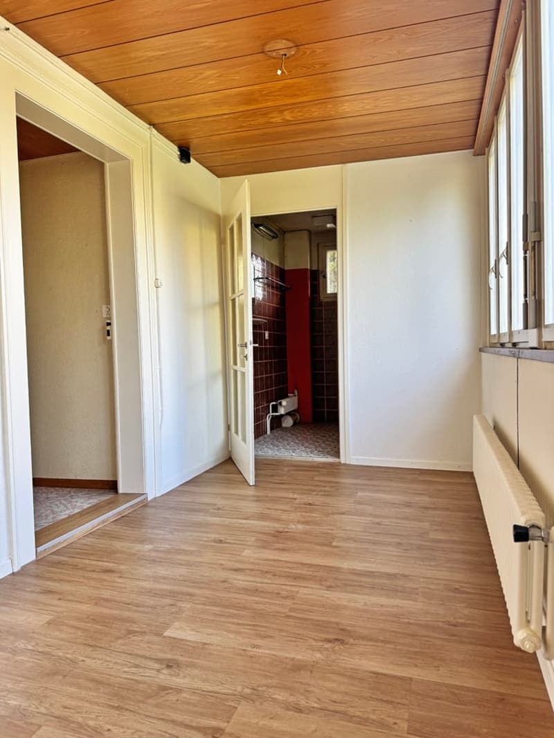 ...grosses Grundstück an bester Lage mit stilvollem Altbau... (15)