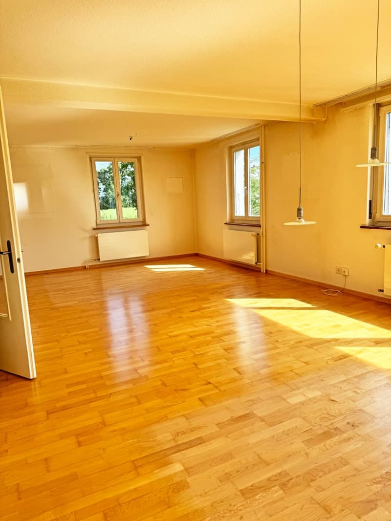 ...grosses Grundstück an bester Lage mit stilvollem Altbau... (10)