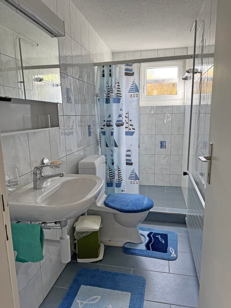 ...grosses Haus, herrlicher Garten, erweiterbar auf 7.5 Zimmer... (16)