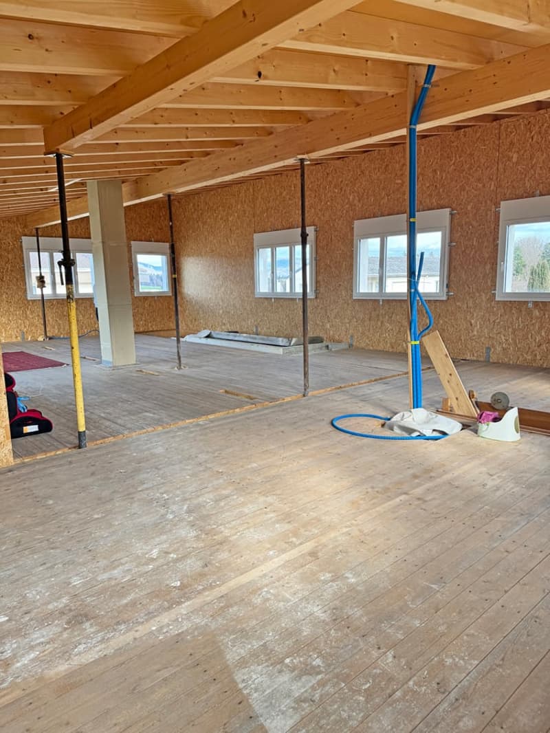 ...grosses Haus, herrlicher Garten, erweiterbar auf 7.5 Zimmer... (17)