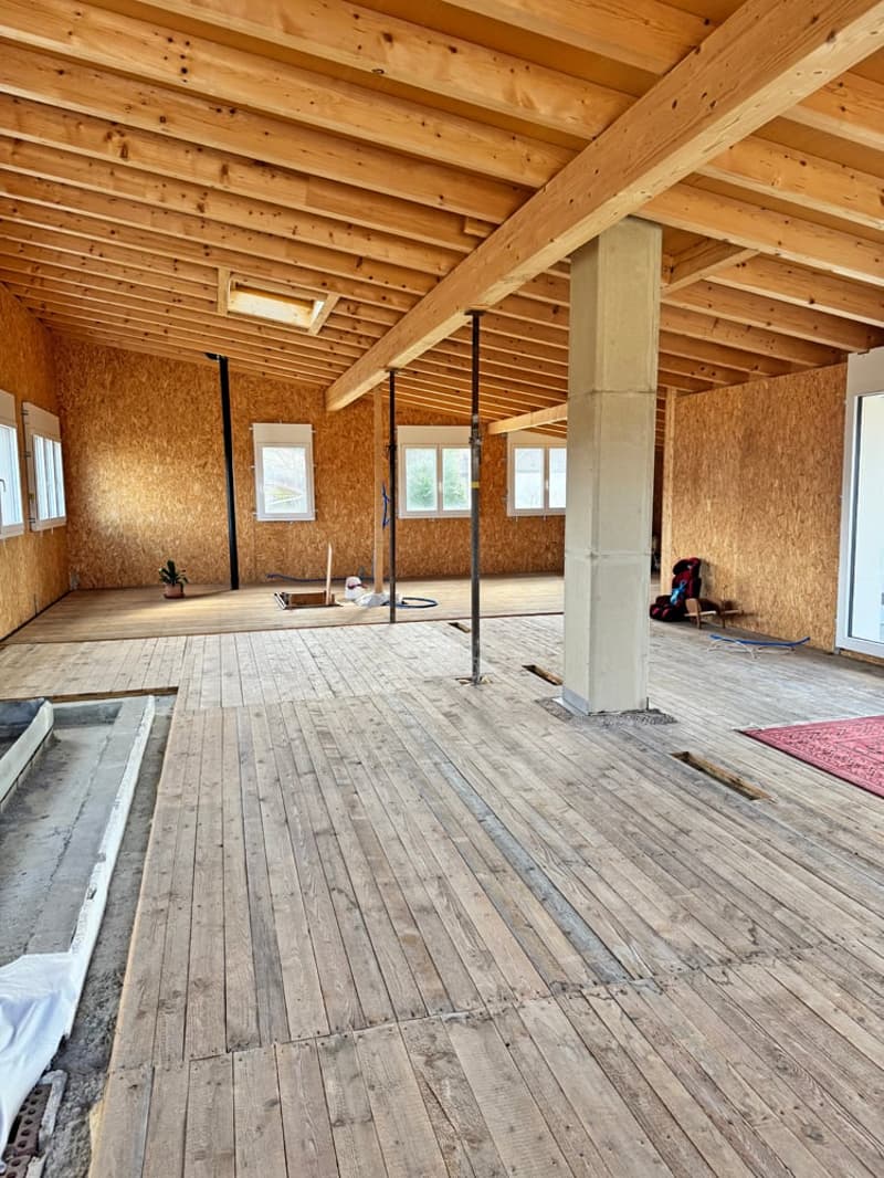 ...grosses Haus, herrlicher Garten, erweiterbar auf 7.5 Zimmer... (18)
