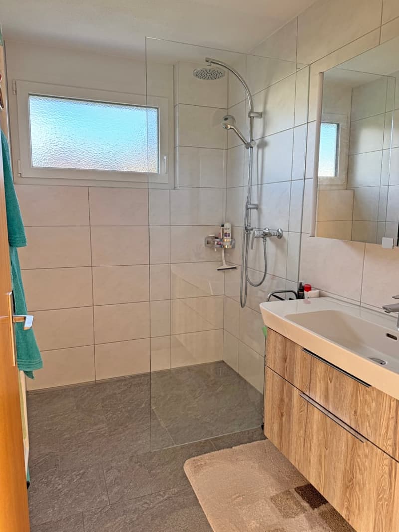 ...grosses Haus, herrlicher Garten, erweiterbar auf 7.5 Zimmer... (14)