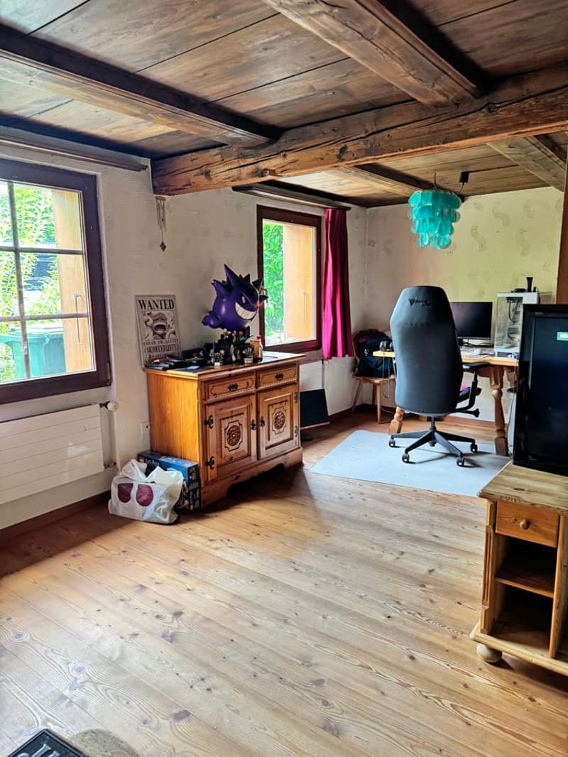 Zweifamilien-/Generationenhaus - mit Stil und urgemütlich (6)