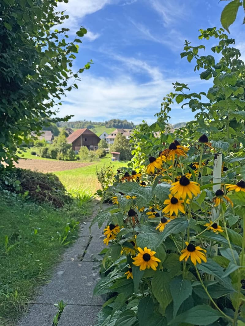 ...ein Familienhaus durch und durch - ein Dorf mit Lebensqualität... (16)