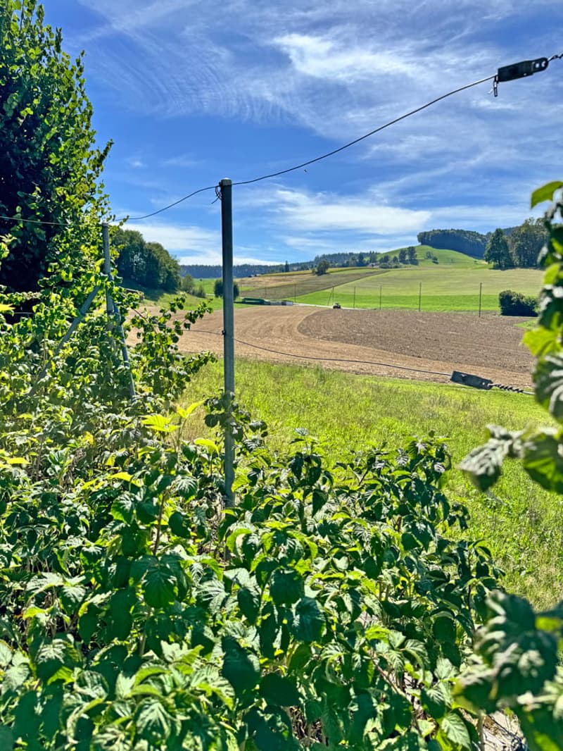 ...ein Familienhaus durch und durch - ein Dorf mit Lebensqualität... (15)