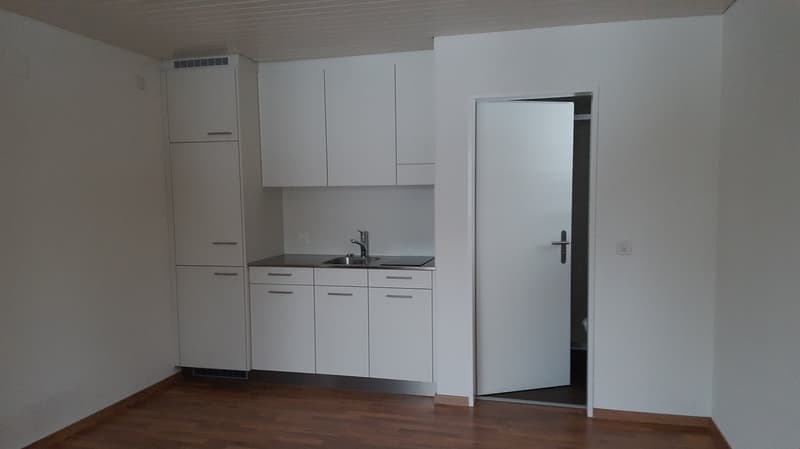 1-Zimmer-Studio, ideal für Wochenpendler/innen (1)
