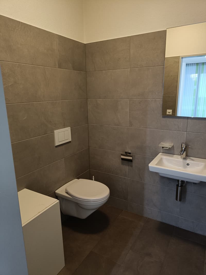 Compact bathroom with tiled walls, white toilet, sink, and a small mirror above the sink