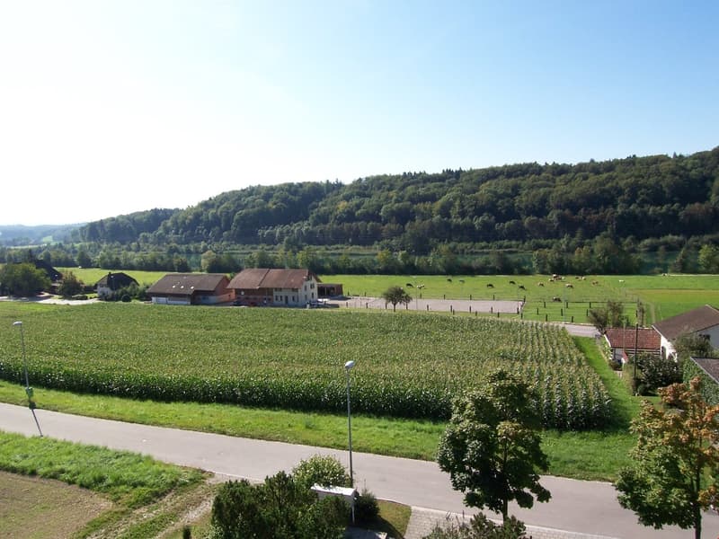 The image shows a rural countryside landscape with rolling hills, farmland, and a small village or farm buildings in the distance. There are several farm buildings, including barns and houses, surrounded by fields and pastures with grazing cattle. The lan