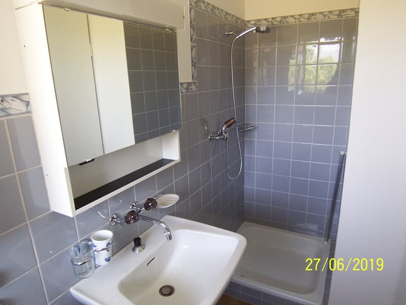 *****Grüne Oase*****1 1/2-Zimmerwohnung im Grünen***** (9)