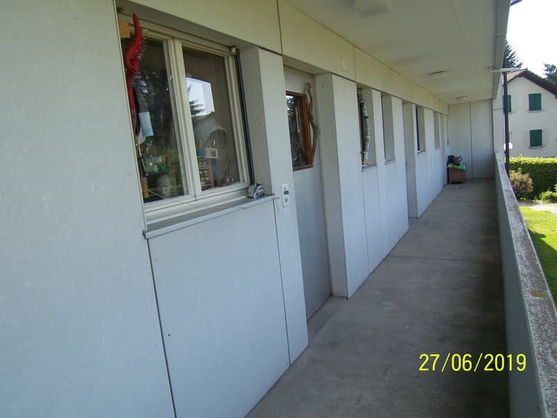 *****Grüne Oase*****1 1/2-Zimmerwohnung im Grünen***** (14)